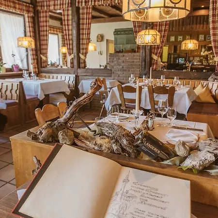 Hotel Gasthof Neun Linden Vogtsburg